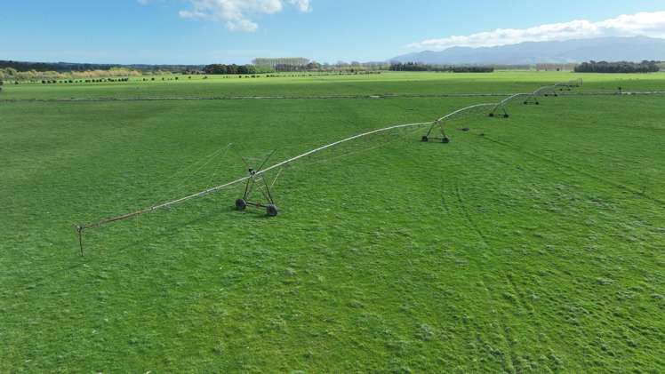 1807 Kahutara Road Kahutara_21