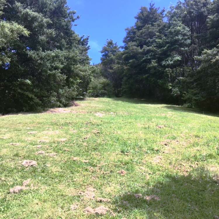 6224 State Highway 1 Moerewa_19