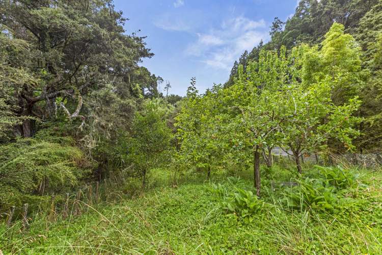 102 Waitetuna Valley Road Raglan_12