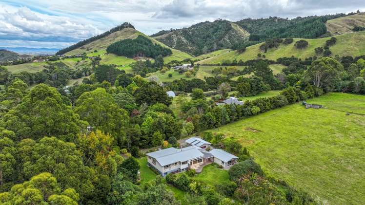 15 Mangotahi Road_1