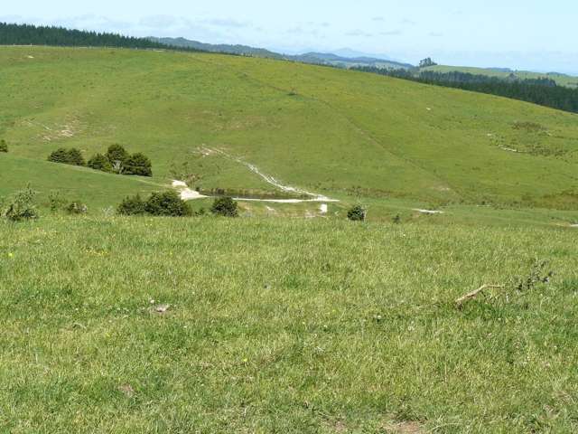 658 Lake Road Kaikohe_1