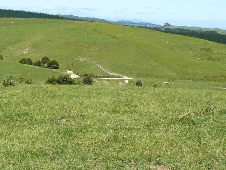 658 Lake Road Kaikohe_1