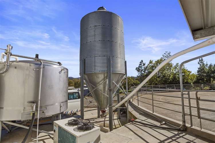 57 Hall Road Hikuai_9