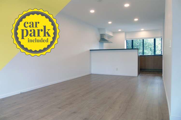 27 Sudbury Terrace Parnell_0