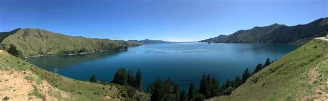 Admiralty Bay Marlborough Sounds_1