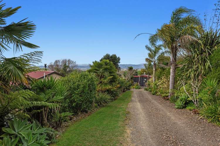 281 McCarthy Road Opotiki_10