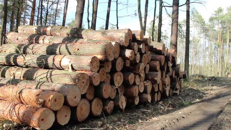 1068 Otaki Gorge Road Otaki_7