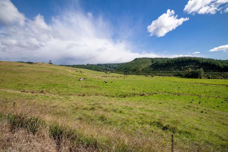 229 Teapot Valley Road Brightwater_26