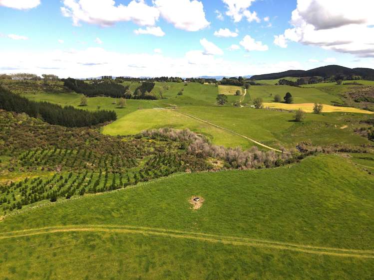 1/1745 Arapuni Road Parawera_14