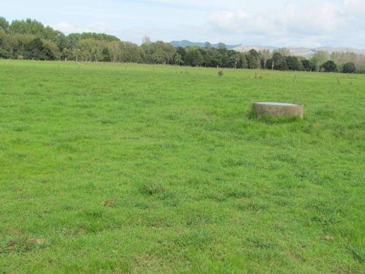 353 Wilson Road Pakotai_20