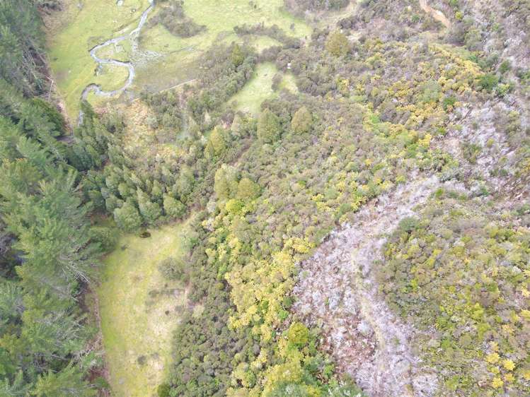 1677 Takaputahi Road Opotiki Coastal_2