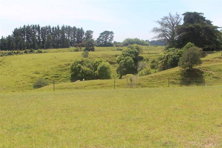95 Wallace Loop Road Koputaroa_3