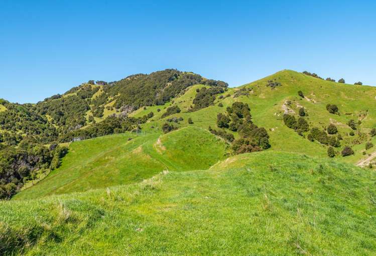 600 Hundalee Road Kaikoura_6