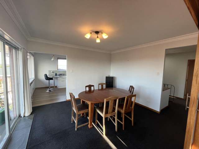 48 Crownhill Street Spotswood_4