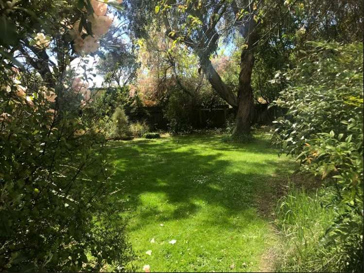 133 Alison Avenue Albert Town_11