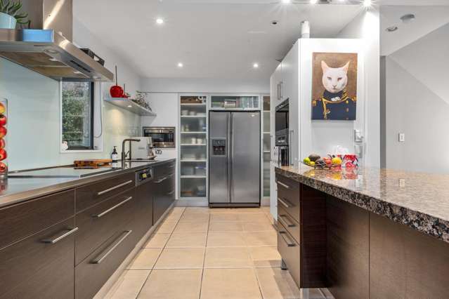 24 Lucknow Place Cashmere_2