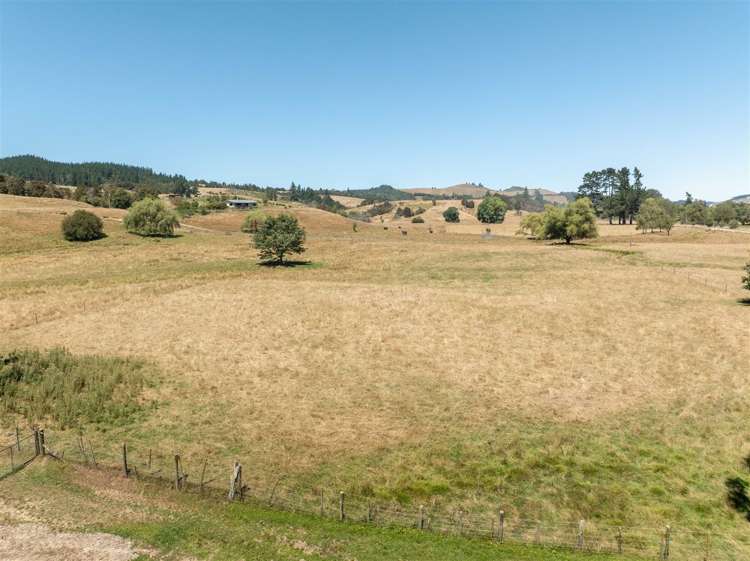 Tadmor-Bushend Road Tapawera_13