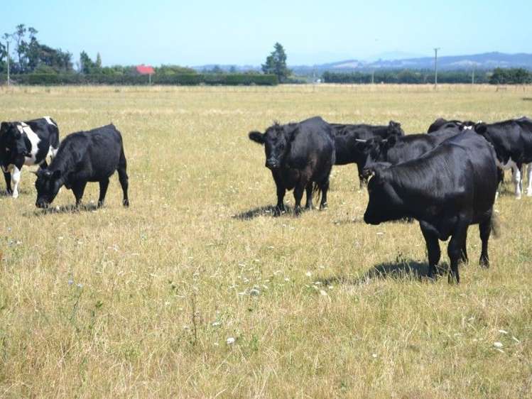 84 Broad Road Sefton_17