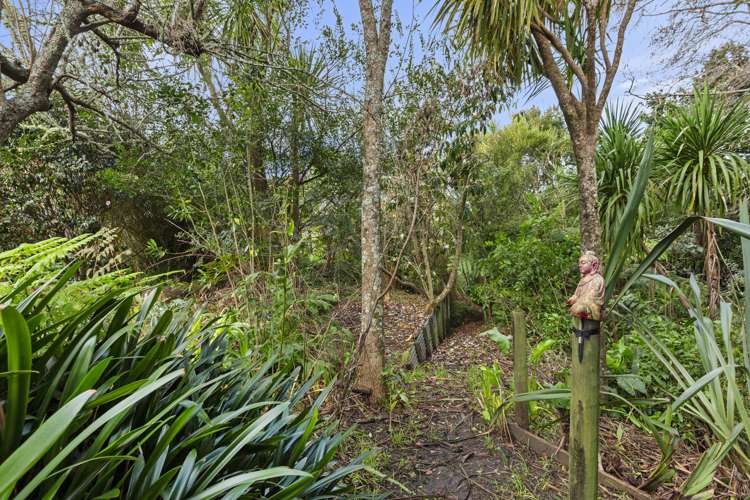 23 Government Road Raglan_28