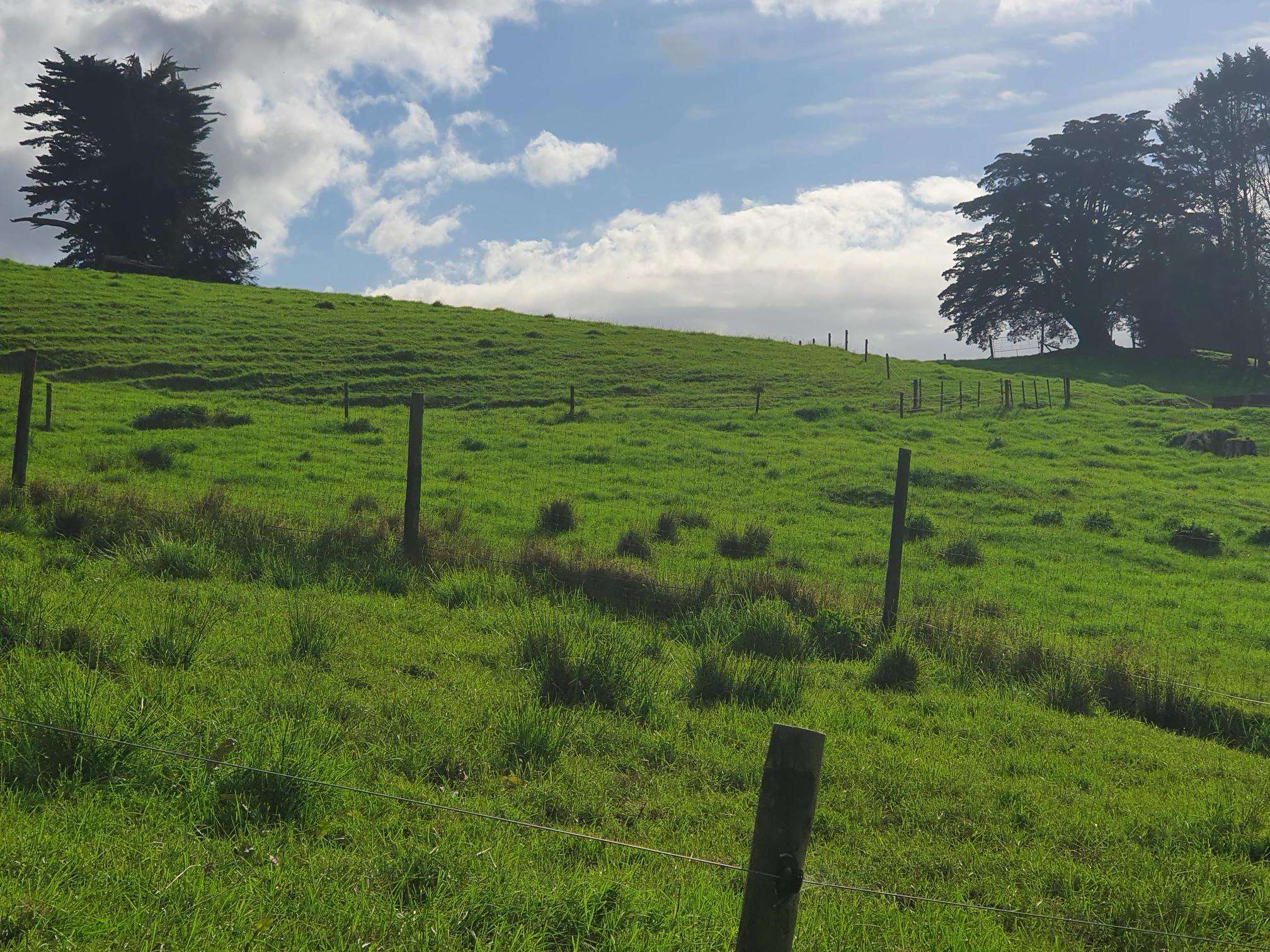 Curd Road Maungakaramea Whangārei Rural Property For Sale One Roof