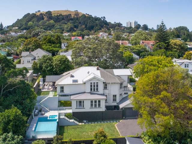 17 Disraeli Street Mount Eden_1