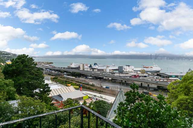 20 Grosvenor Terrace Wadestown_1