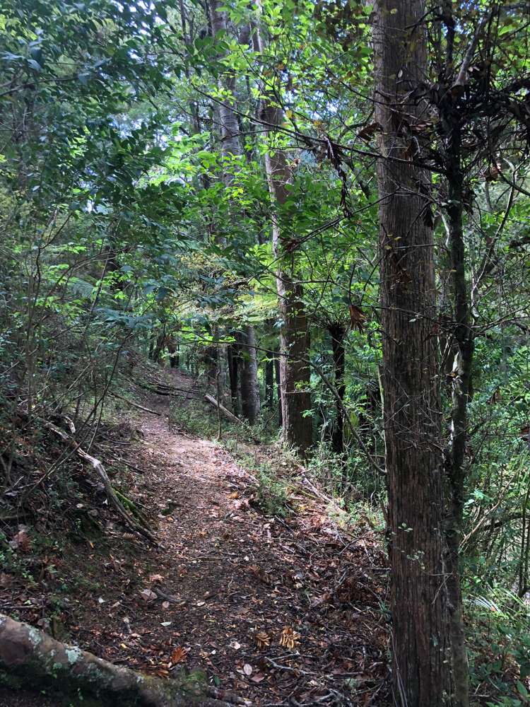 3609 State Highway 10 Kaeo_20