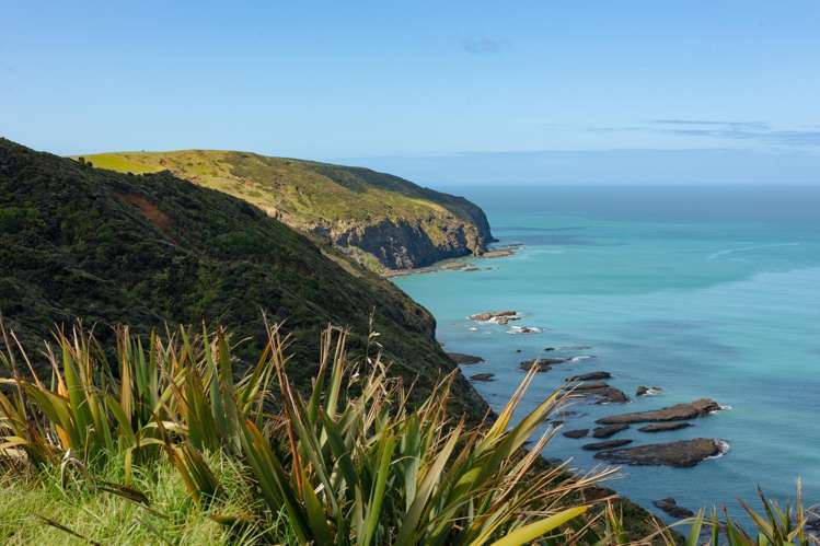 216 Constable Road Muriwai Beach_19