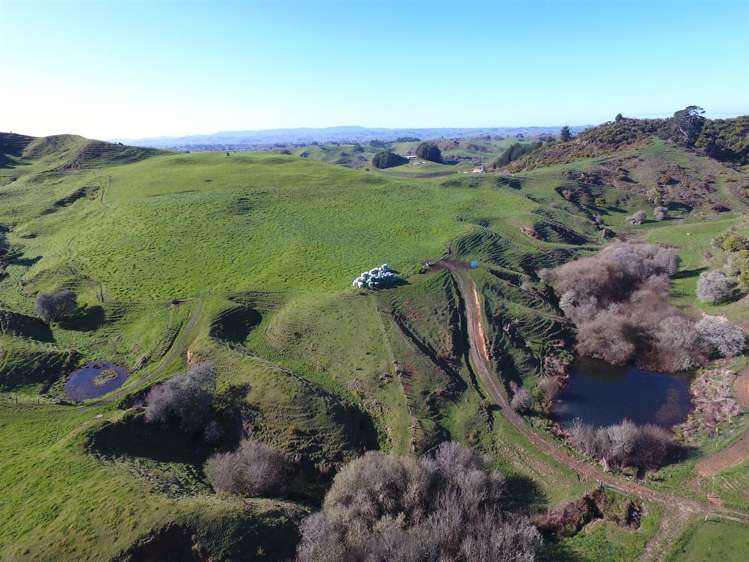 523 Honikiwi Road Otorohanga_11