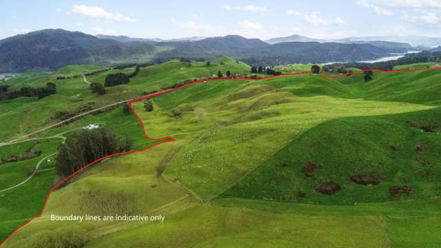 Grazing with views across Lake Ohakuri