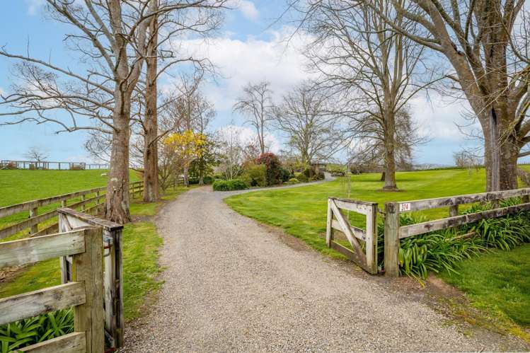 374 Morgan Road Matamata_19
