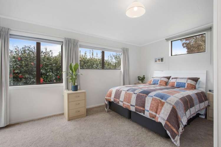 33 Bradford Street Waihi_7