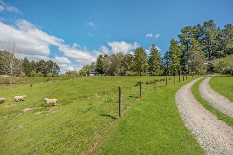 89 Neudorf Road Upper Moutere_15