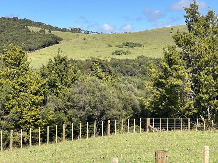 4321 State Highway 1 Mangamuka_7
