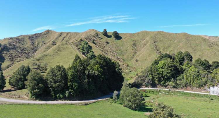 3779 Whanganui River Road (State Highway 43) Ruapehu-King Country Surrounds_10