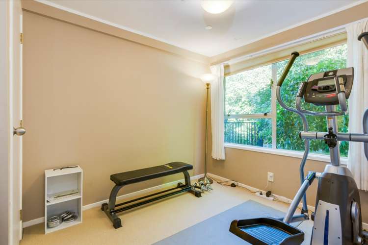 3a Palmer Crescent Mission Bay_11