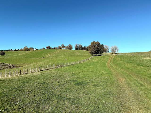 1/1745 Arapuni Road Parawera_1