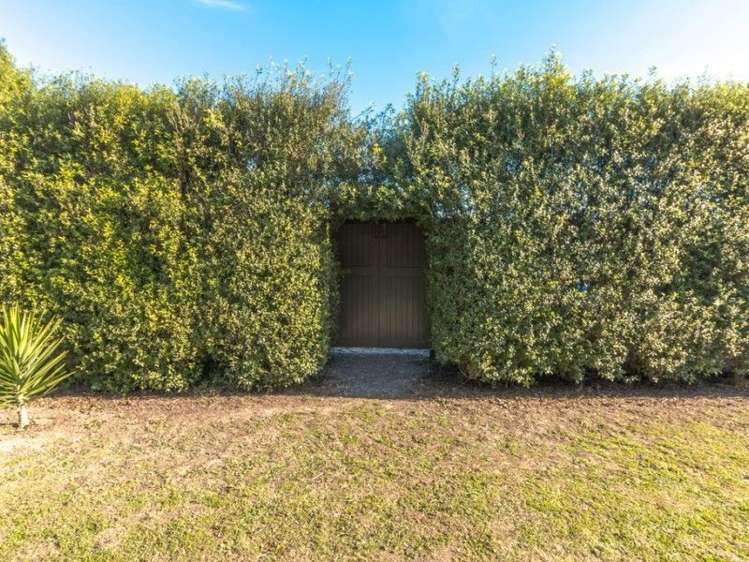 23 Stafford Street Clive_25