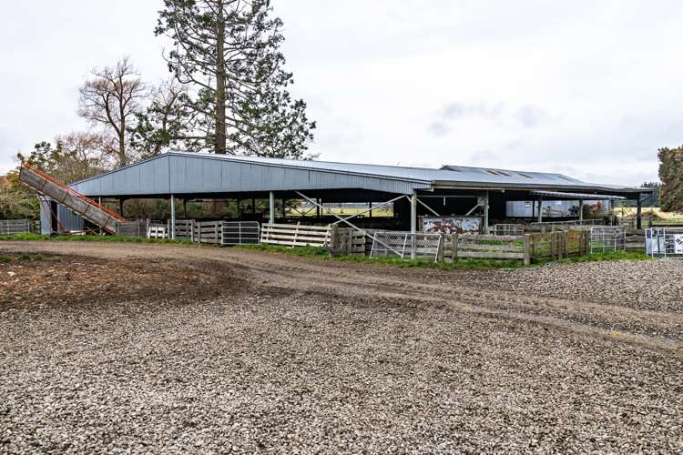 89 Chisnalls Road Hinds_17