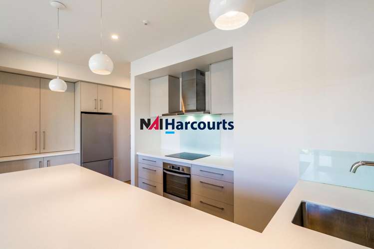 D1/18 Oteha Valley Road Extension Albany_3