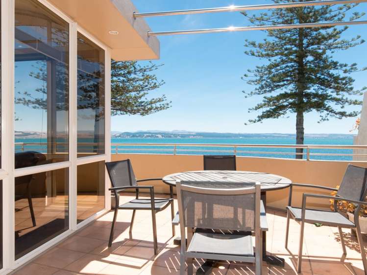 71 Hardinge Road Ahuriri_9