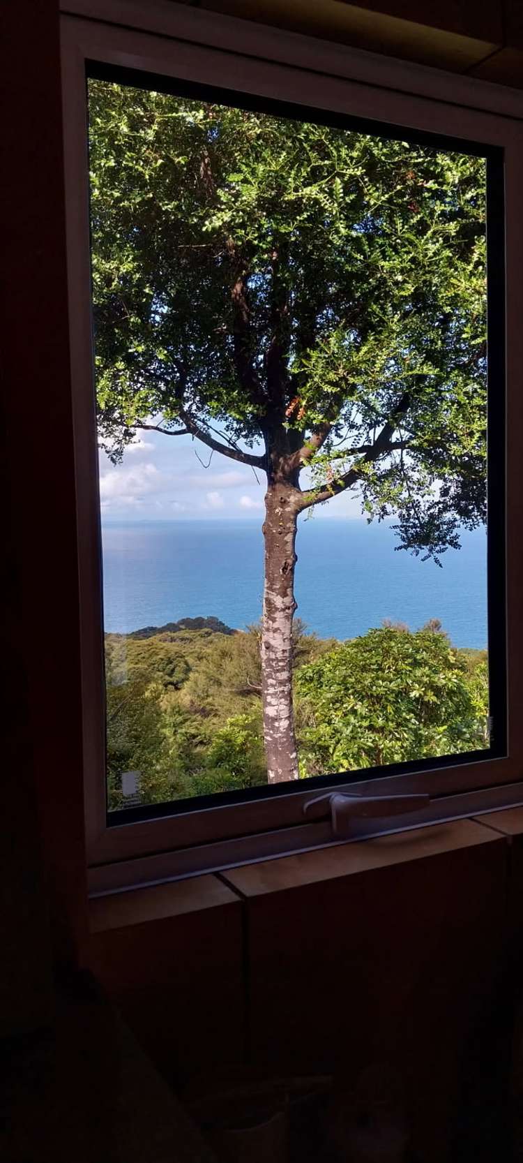 525A Tuateawa Road Tuateawa_29