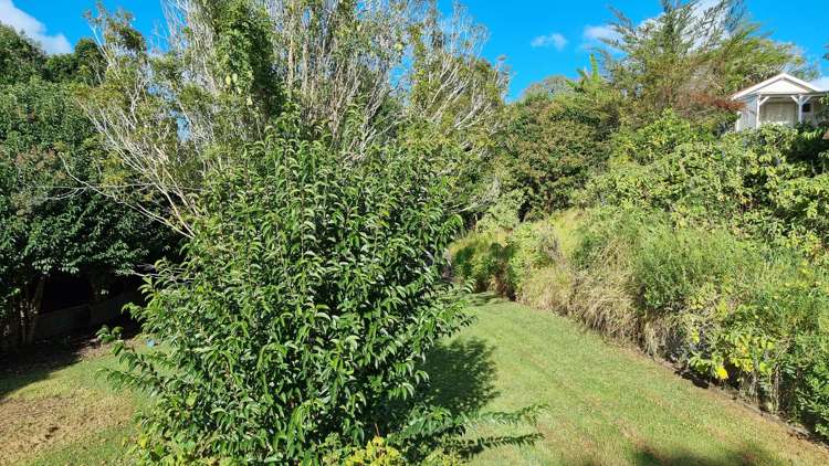 16 Bank Street Kaitaia_18