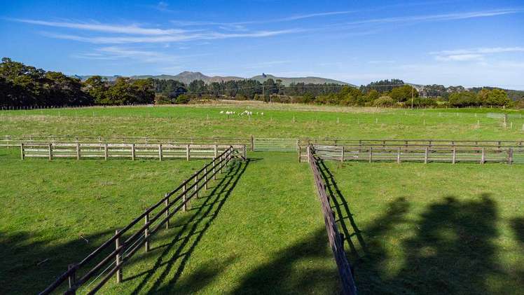 356 Matamau Ormondville Rd Dannevirke_22