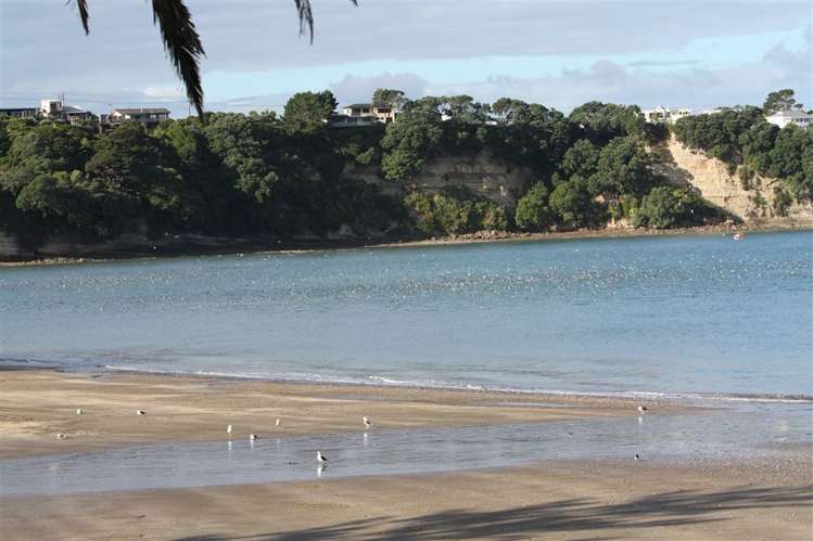 6/4 Arkles Strand Arkles Bay_13