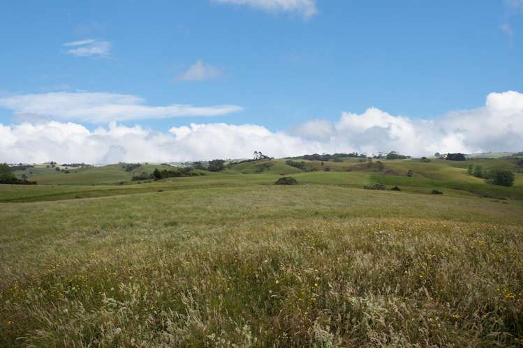 161 Otuiti Road Pukekawa_19