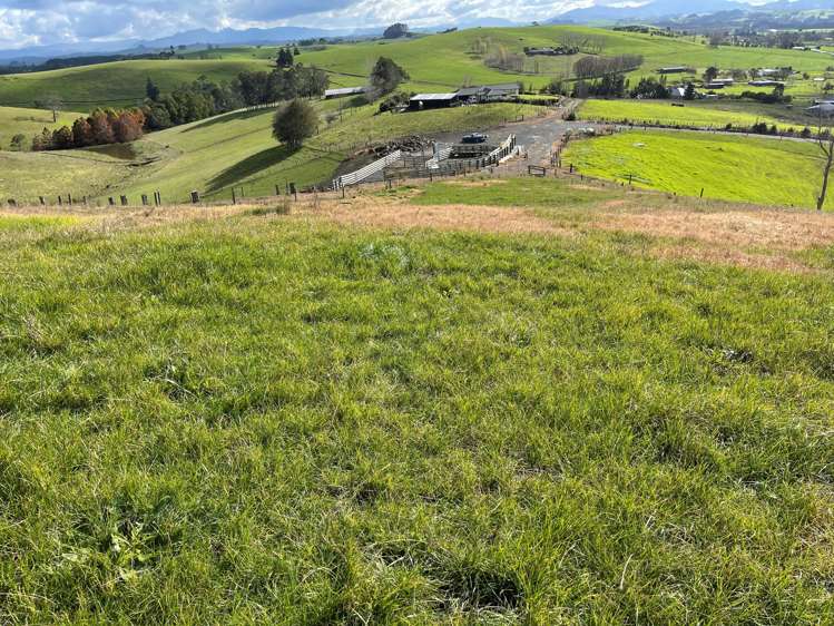 227 Kokopu Block Road Maungatapere_4