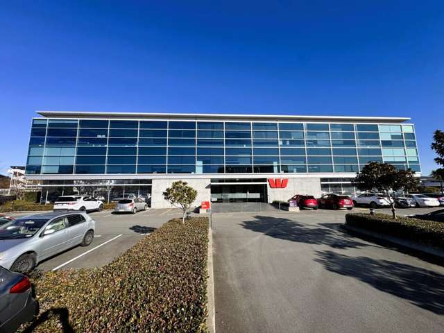 7 Show Place Addington_1