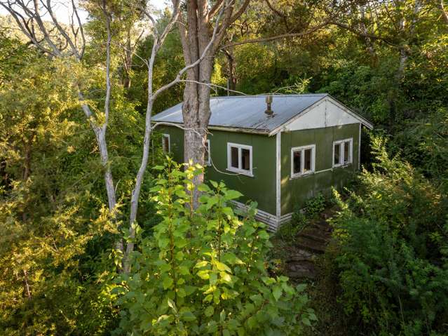 Bill Hammond's Bolthole — with precious artwork