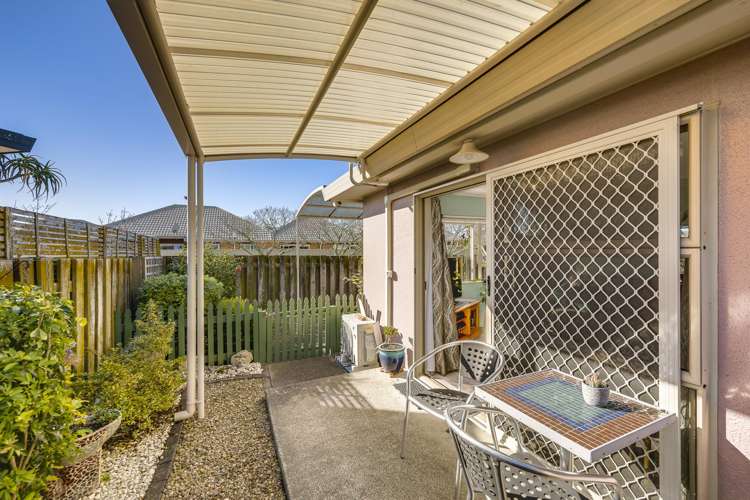 3/427 Gloucester Street Taradale_13